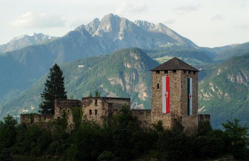 Tribus Lorenz - Wiesgut - Photo 31