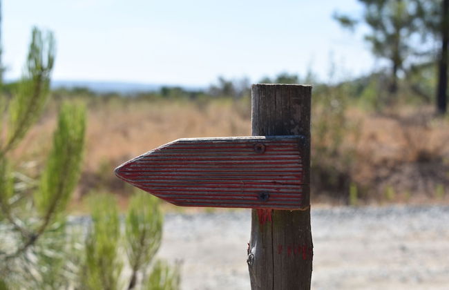 Monte Sardinha - Foto 67