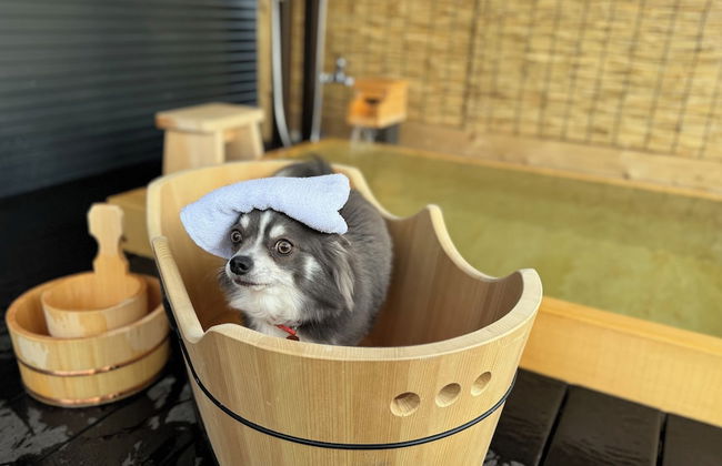 Solana Karuizawa Villa - Foto 6