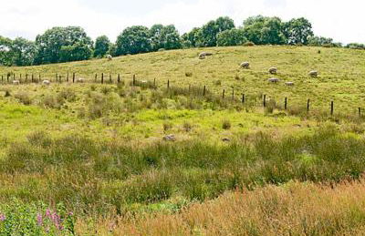 Chapel Cottage - Foto 11