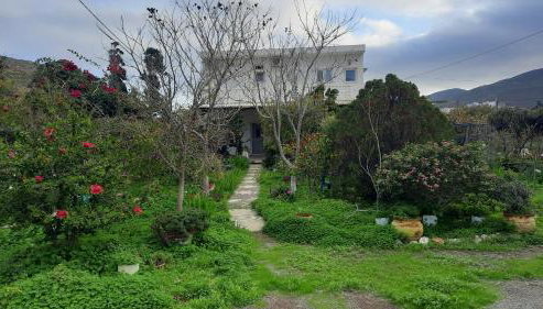 Stenorimi Valley House - Livadi, Astypalea - Foto 3, Garden, Garden view