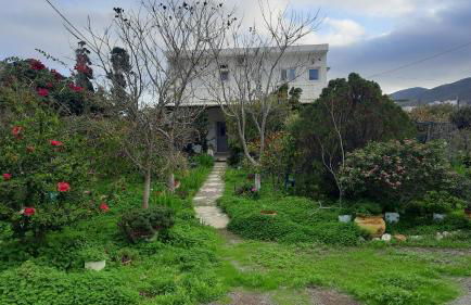Stenorimi Valley House - Livadi, Astypalea - Foto 3