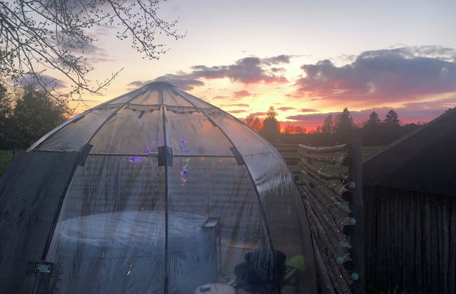 Treehouse Magpies Nest With Bubble Pool - Foto 43