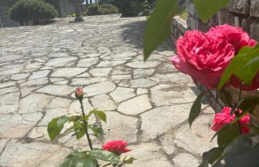 Rosa del lago - Foto 19