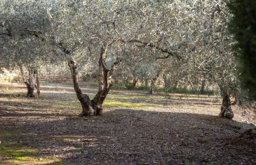 Slpendid villa with heated pool and Jacuzzi for 12 people in Saint-chamas - Foto 50