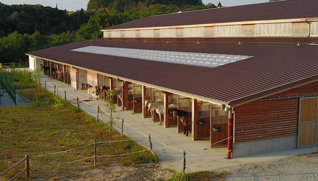 Domaine De Fraisse - Foto 5