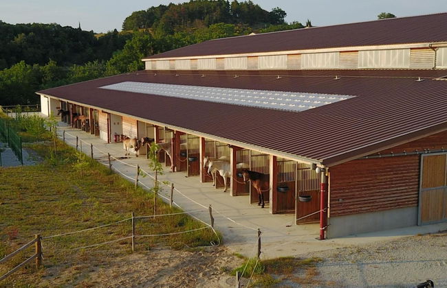 Domaine De Fraisse - Foto 12