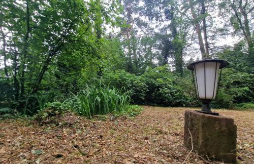 Ferienhaus Thymian in Hatten bei Oldenburg - Idyllische Waldlage - Foto 53