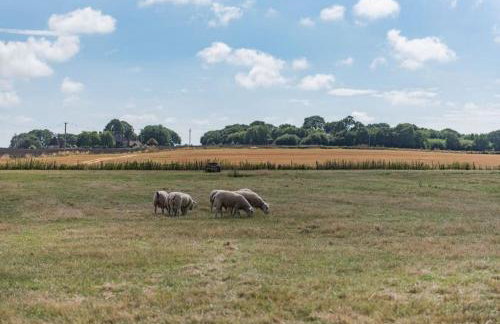 The Bothy - Charming home on a working farm - Photo 10