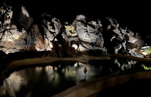 Private Joshua Tree Oasis with Pool & Hot Tub - Foto 31