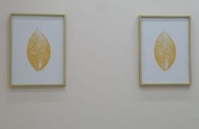 Ria de Vigo hasta 8 huespedes - Foto 3