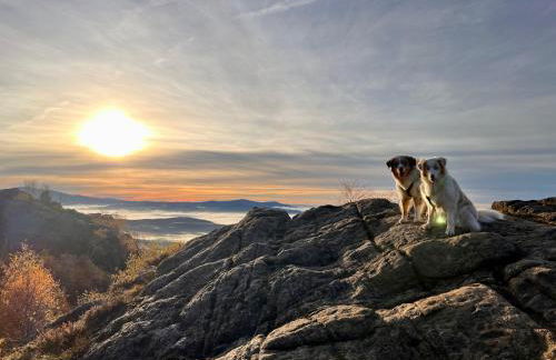 Altes Forsthaus Bodenmais - Foto 6