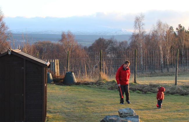 Shetland Cottage - Foto 17