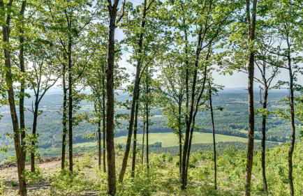 Peaceful Mountain Tiny Home with Breathtaking Valley Views & Fireplace Near Lookout Mountain, Menlo GA - Foto 28