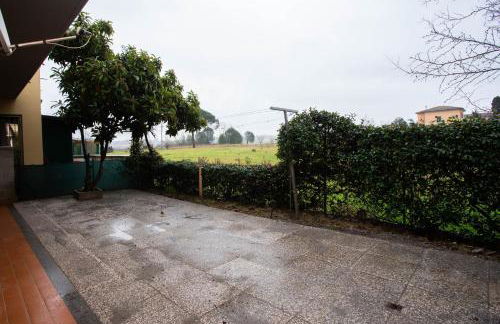 Moderno Home - Foto 17