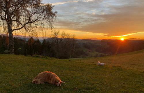 Gronewald's Mountain View Holidays - Foto 14