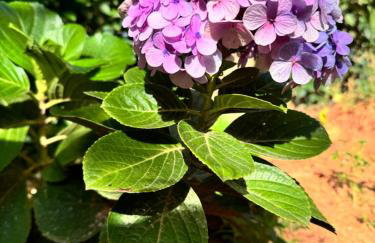 Chalé Bella Vista - Foto 63