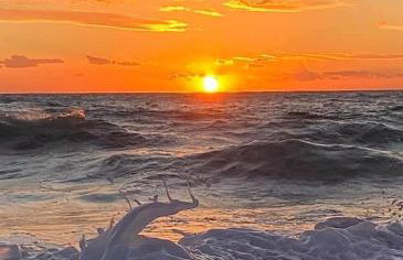 Liviko View - Foto 48