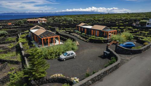 Paraíso do Triângulo - Photo 4