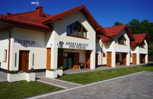 Apartamenty pod Dębami - noclegi Beskid Niski - Foto 1