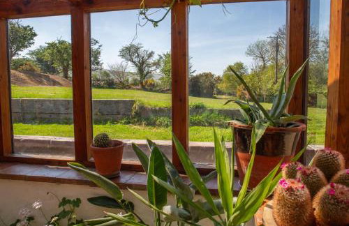 The Barn - Brynberian, Eglwyswrw - Foto 64