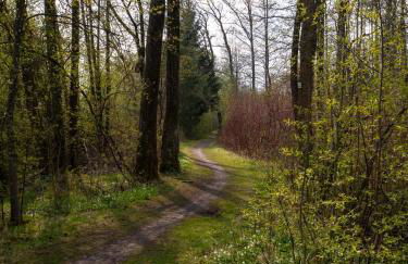 Moderne Unterkunft in Leutkirch - Foto 29