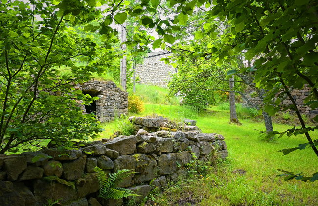 L'Assemblée - Foto 10