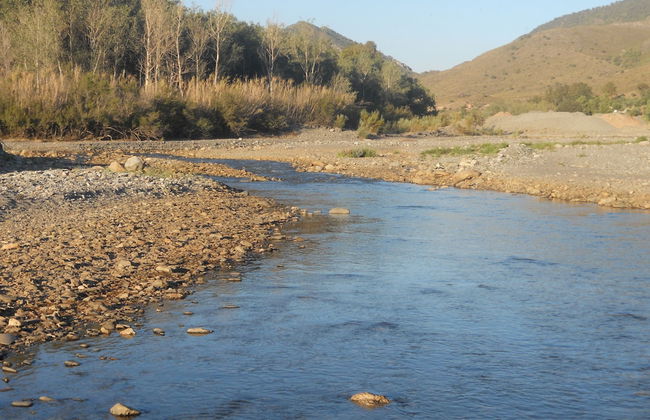 Casas Amaro - Foto 55