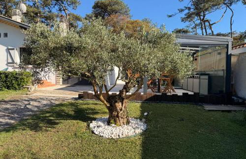 Villa Dune & Océan - Foto 15