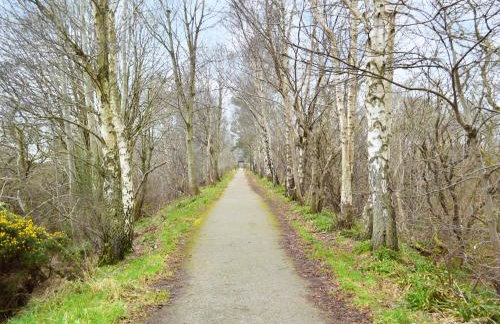 March Brown - Foto 12