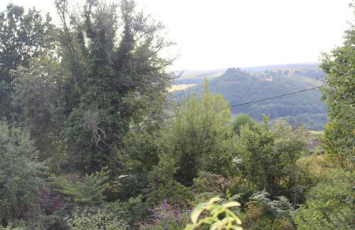 Rhandirmwyn - Cottage - Sleeps 4 - Pet Friendly - Foto 19