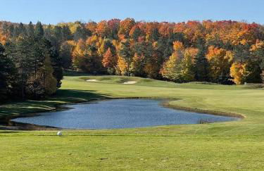 Shanty Creek, Condo, Golf ,Sleeps 4, Pets welcome! - Foto 18