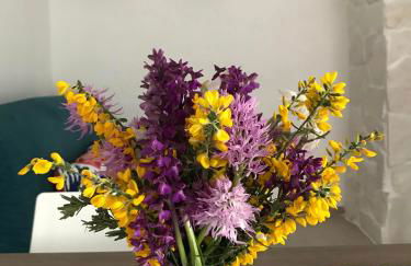 Fico d’India apartments - Foto 27