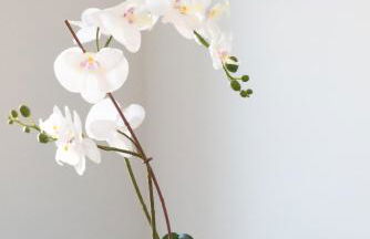 4 Bedroom Home - Contractor Ready - 2 Mins to Town CM7 - Foto 26