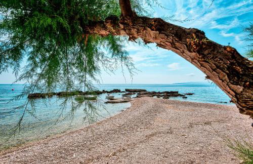 Villa Gloria - Foto 3