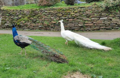 No 4 Trelawney Apartment - Onsite Bar - Restaurant - Horse Riding - Foto 51