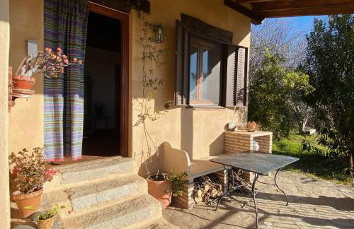 Vergel San Pedro - Foto 6