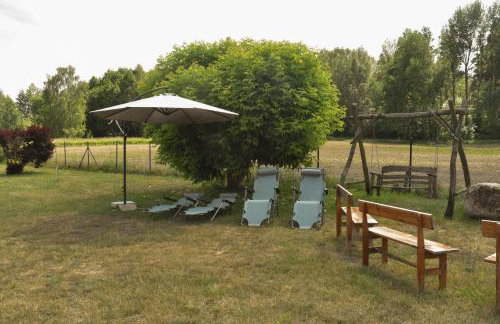 Noclegi Tomaszkowo - Photo 13