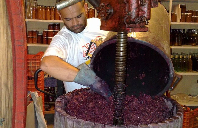 Agriturismo La Pietriccia - Foto 60