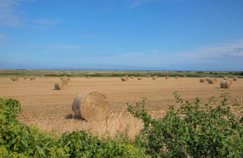 Out of Focus - Foto 41