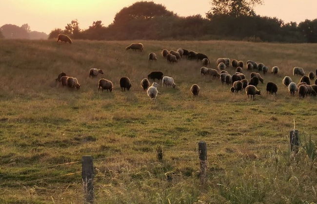 Inviting Apartment Near Lake - Foto 16