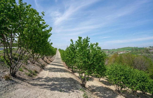 Hillview Langhe Apartment - Foto 31