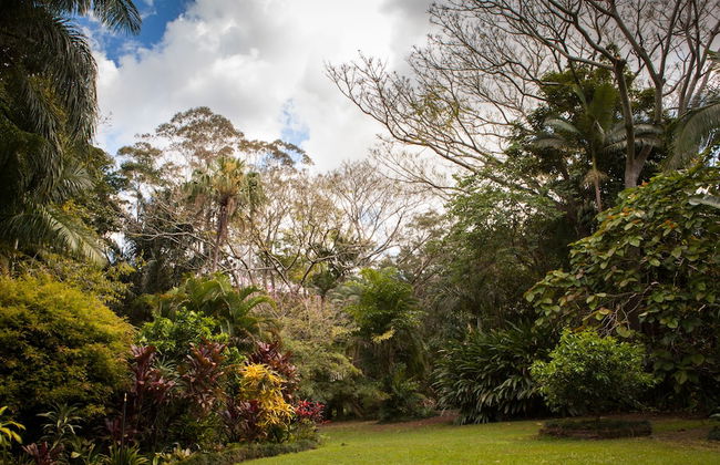 Sanctuary in The Pocket - Foto 57