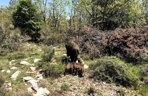 Le Mas des Oliviers - Foto 17