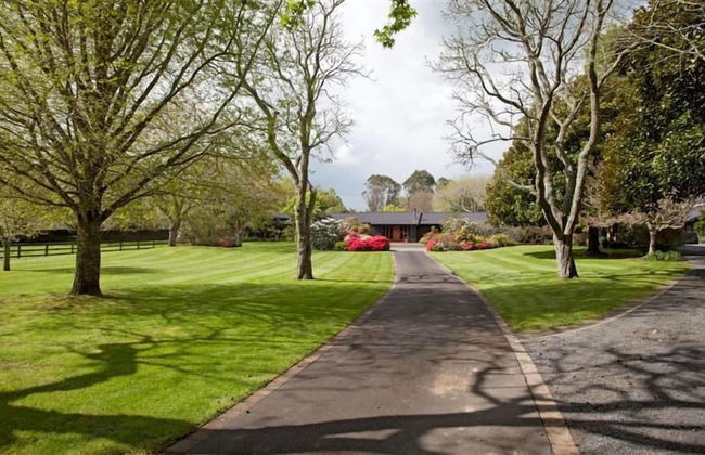 Magnolia Park - Photo 29