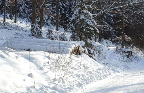 Apartment Komfortwohnung by Interhome - Foto 37