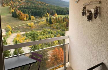 Avec balcon, au pied des pistes et randos - Foto 42