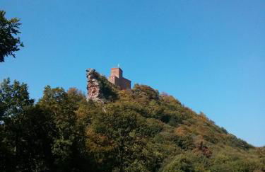 Ferienwohnungen Bella Vita - Foto 46