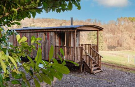 Betty Shepherd's Hut - Photo 1