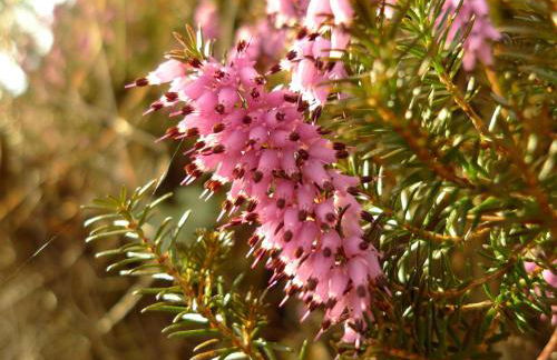 Haus Schmidberger - Foto 19